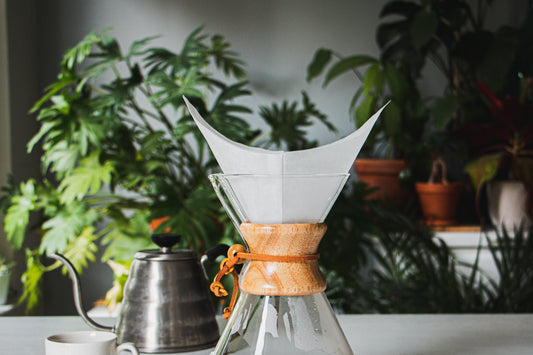 Chemex Filter Paper